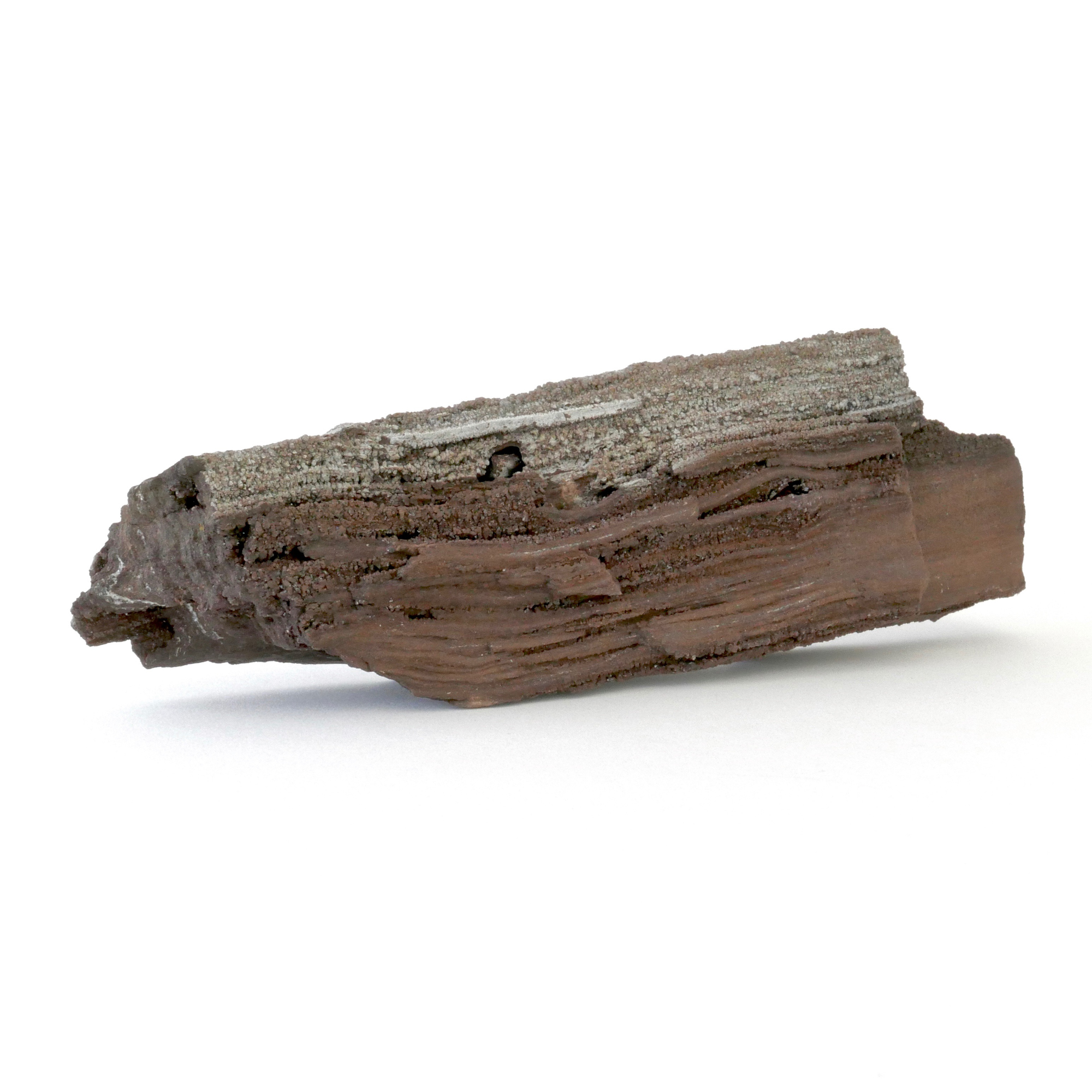 petrified wood saxony germany place 8 healing